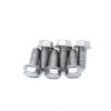 GM LS1 Flywheel Flexplate Bolts by Zieichy-6